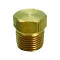 Jmf 1/8 in. MPT Brass Hex Head Plug 4505038